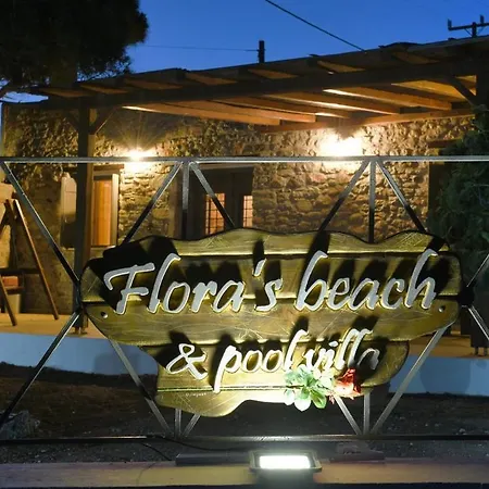 Villa Flora's And Pool In Syros *