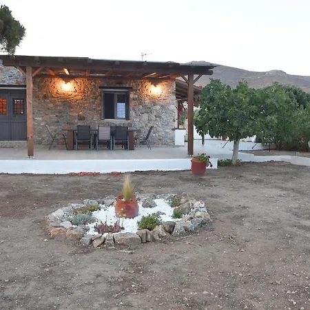 Flora's And Pool In Syros Villa