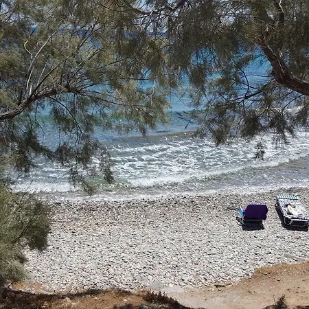 Flora's And Pool In Syros Villa Liaropa