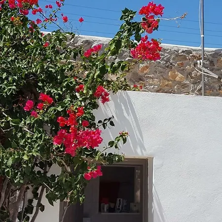 Willa Flora's And Pool In Syros Liaropá