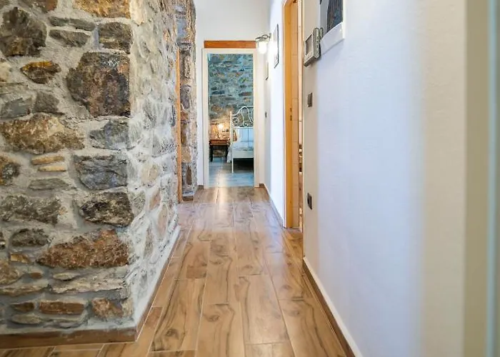 Flora's And Pool In Syros Villa *