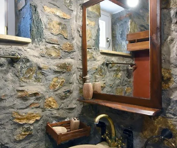 Flora's And Pool In Syros Villa *