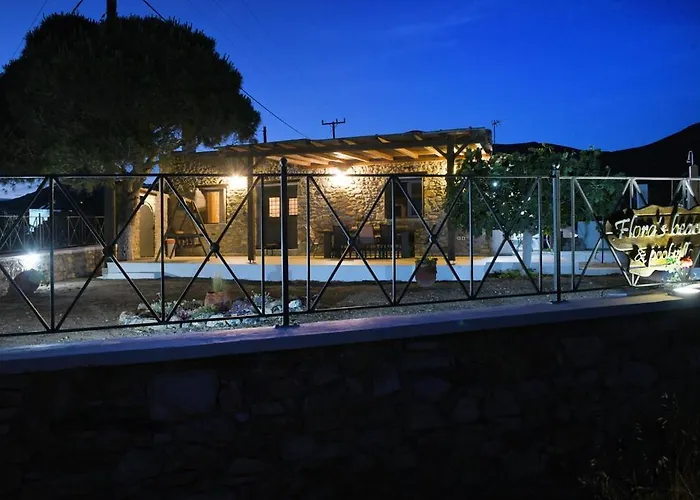 Flora's And Pool In Syros *