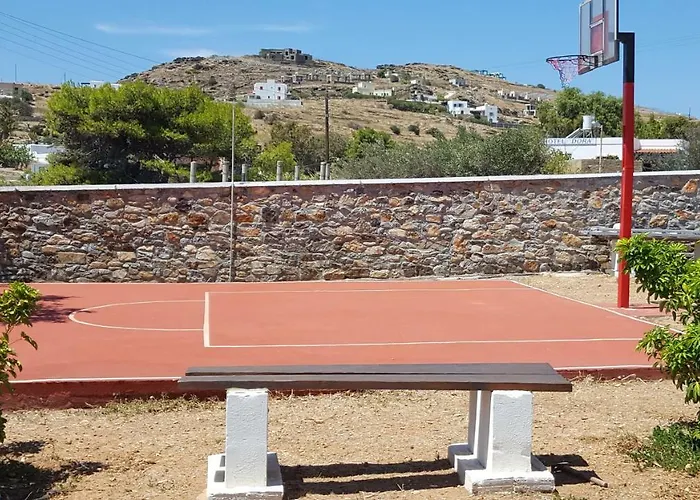 Flora's And Pool In Syros Villa *